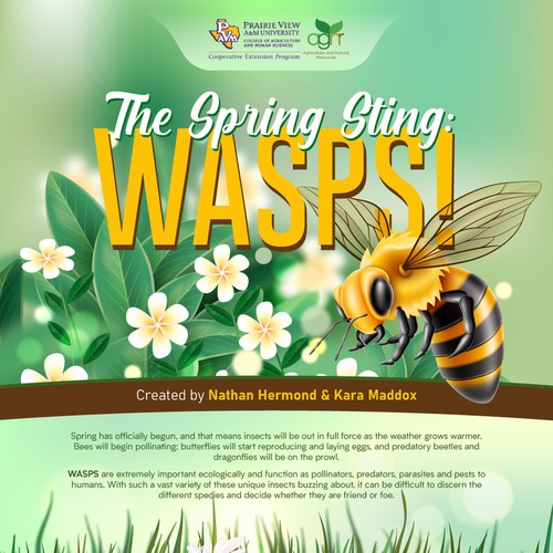 BUZZZZZZ - It's a Wasp Guide for Springtime in Texas! Design von giekstrave