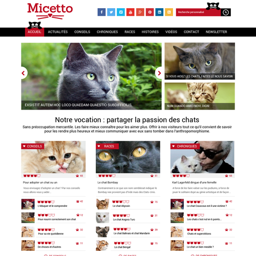 Web page design contest entry by mdcreation