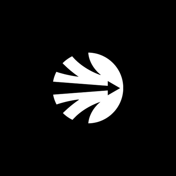 Geometric Arrow Logo