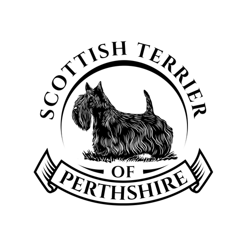  contest entry by Rziko1