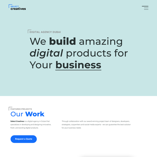 Take our software development website to the next level Design by Nash Radak