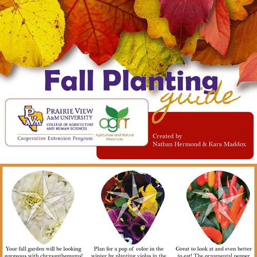 Fun Fall Festive Planting Guide Needed for University In Texas Design von Salty_Ink