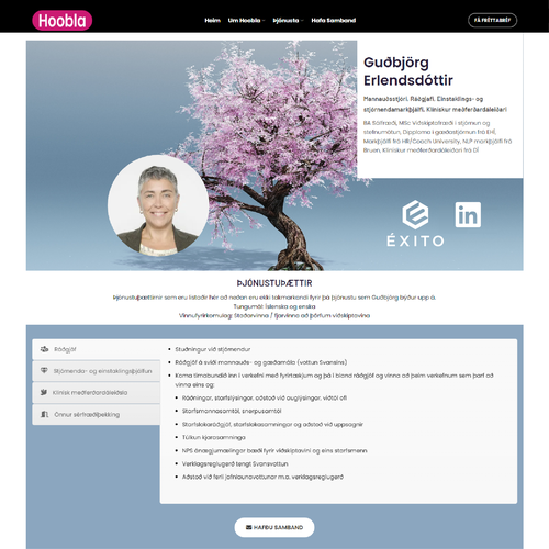 Otros diseños propuesta en el concurso por dzanie