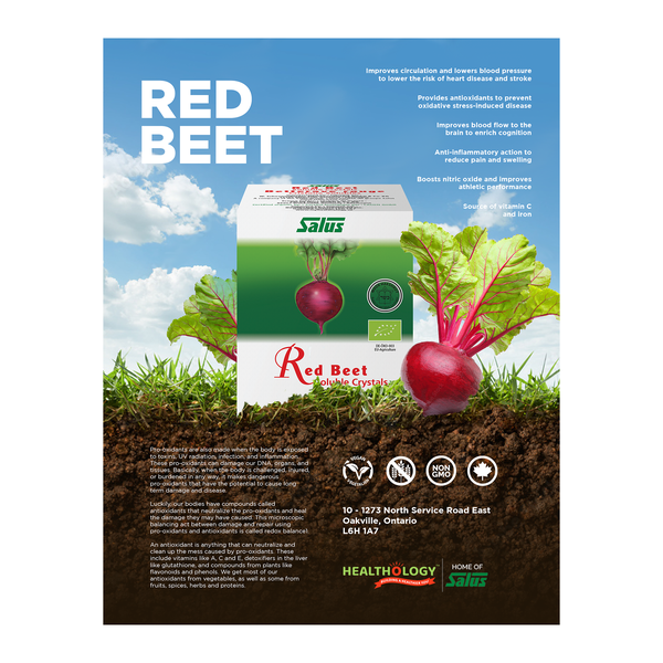 Red Beet