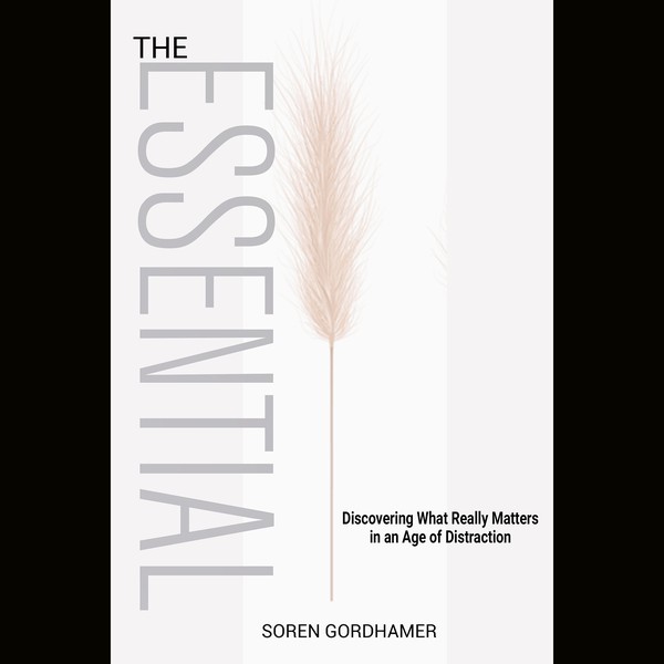 Design by MS_99 titled "THE ESSENTIAL"