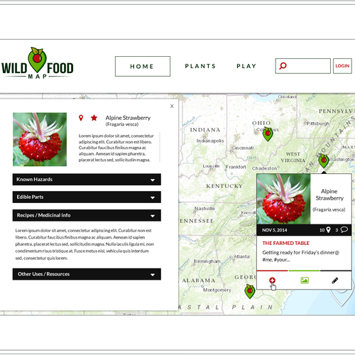 Designs | Wild Food Foraging App UI Design | App design contest