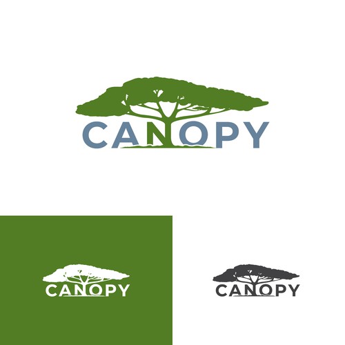 Canopy Logo Design by delly_martin