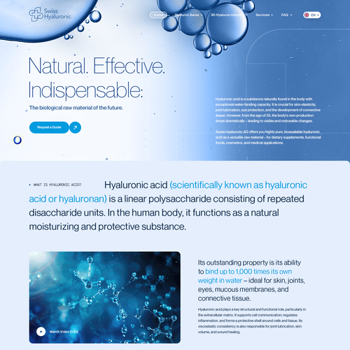 WordPress theme design contest entry by wowww agency