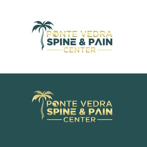 Spine and Pain Medical Practice in Florida Design by rahajuan