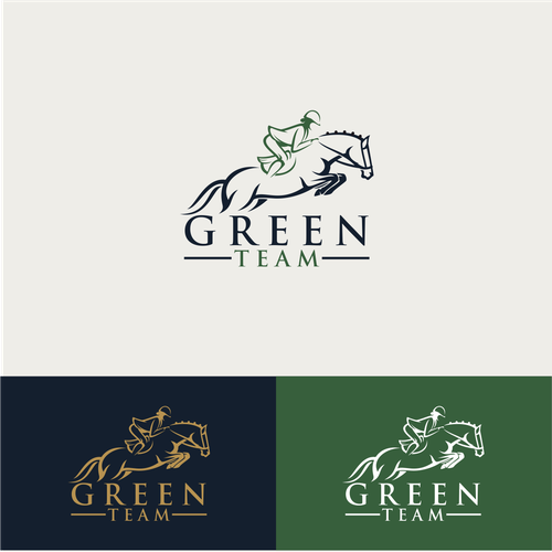 Looking for a powerful logo for an Horse jumping team for international competitions logo Réalisé par sidiqnu