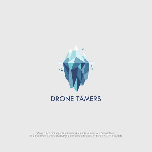 Drone Tamers