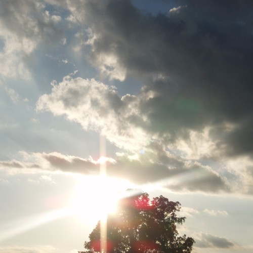 Design Rick Warren's New Book Cover Design by kdosh11