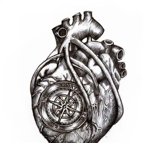 anatomical heart drawing da vinci