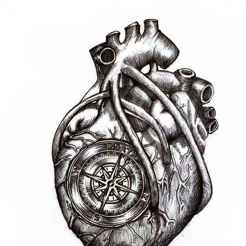 Greyscale Drawing of Da Vinci Anatomical Heart w/ Nautical Compass for Tattoo Design by Arewy