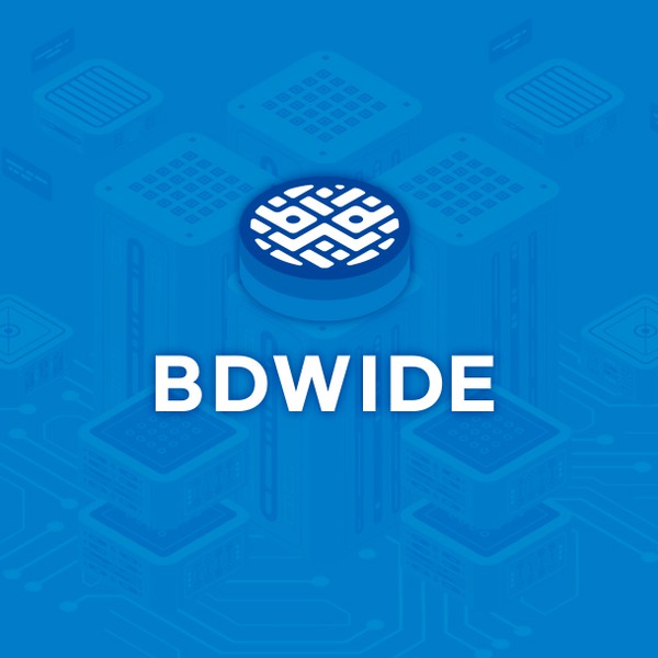BDWIDE logo design