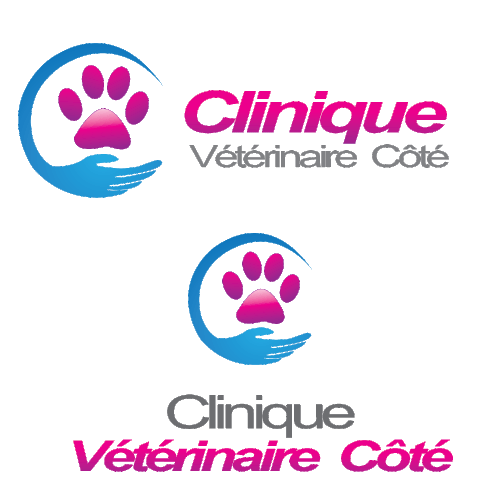  contest entry by DNS design