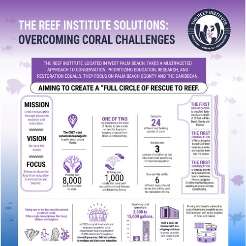 Coral Reef: Rescue to Reef Infographic Design by rainmar