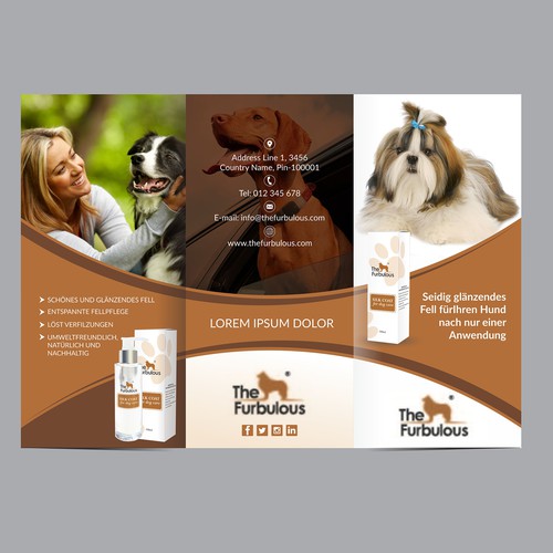 Brochure contest entry by Dzine Solution