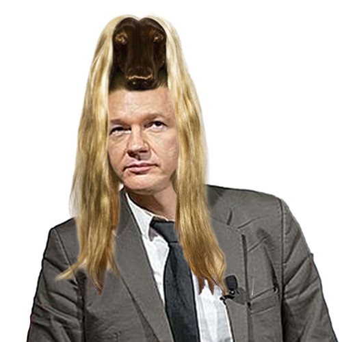 Design the next great hair style for Julian Assange (Wikileaks) Diseño de commemai