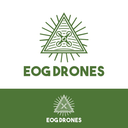 Custom Drone Company Logo Design by danieltriyasa