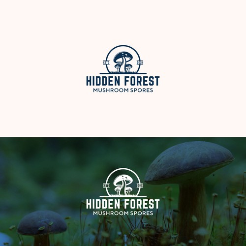 Magic Mushroom Business Logo! Design by Consort Solutions