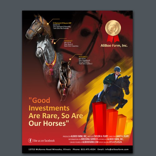Show Jumping Hunter and Jumper Horse Ad with a Stock Market Theme ...