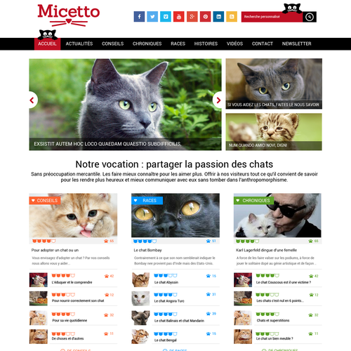 Web page design contest entry by mdcreation