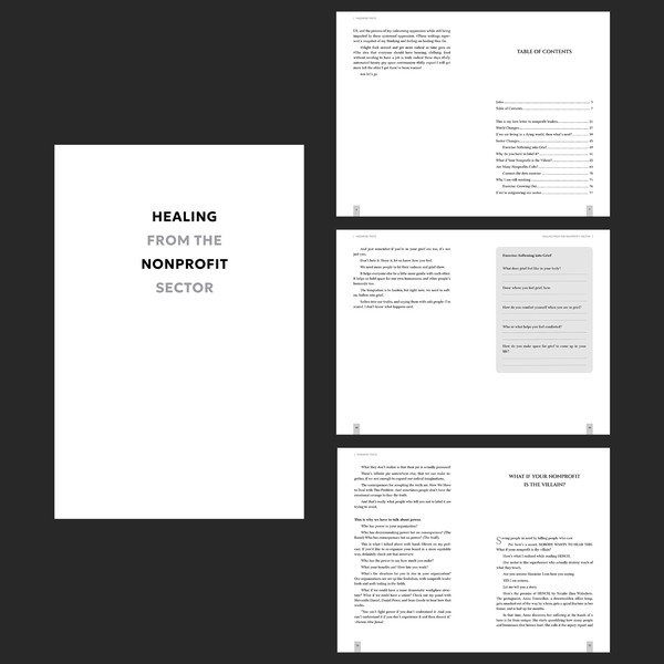 Healing From the Nonprofit Sector Typesetting Layout