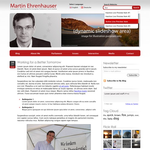Wordpress Theme for MEP Martin Ehrenhauser Design por Team Kittens