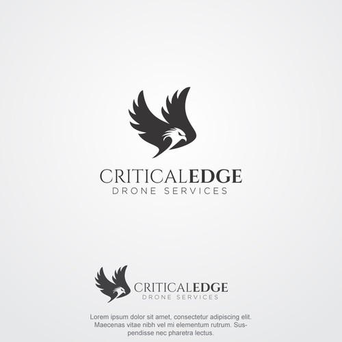 We need a logo design for new Drone inspection and survey company Design by hasnagraphics