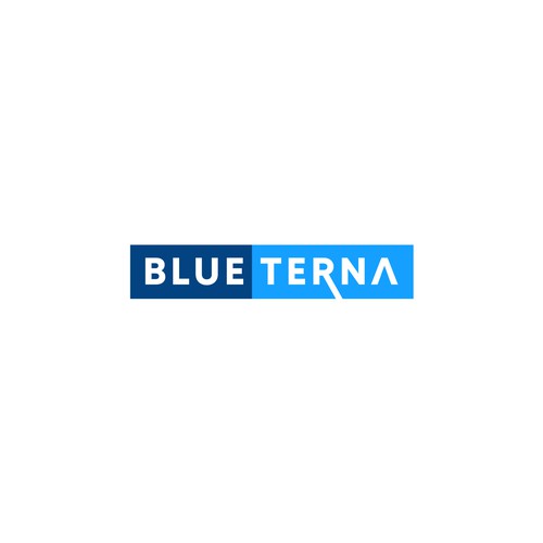 Blueterna Branding contest Design by Half-Tone™