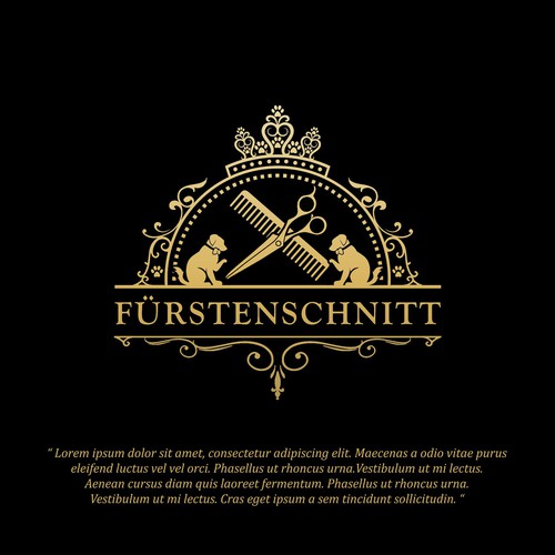  contest entry by Aliver_