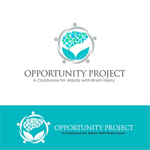 Brain Injury Nonprofit Organization Design by Dmitri Cezaro