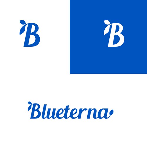 Blueterna Branding contest Design by ChioP