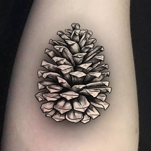 Pine Cone Tattoo Design Design by ANTICON