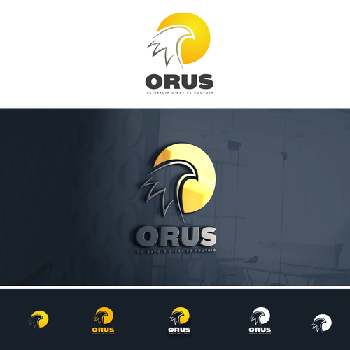 Seeking for a professionnal communcation axis for Orus | Logo & brand ...