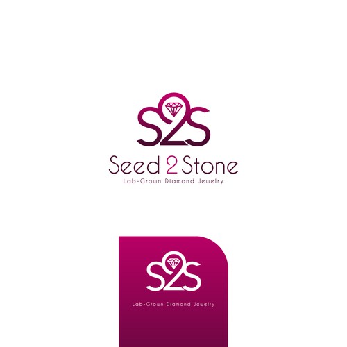 S2S new LOGO-ontwerp door BjoInk