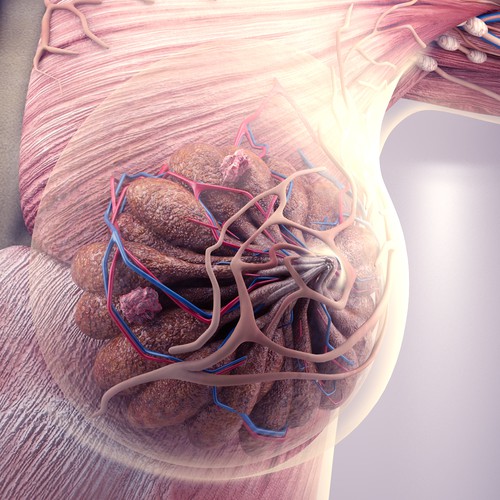 3-D Mammogram Image/Diagram Contest Design by Javad.S