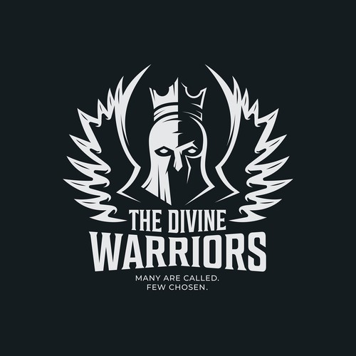 Spiritual warriors apply Design by Andrei Petcu