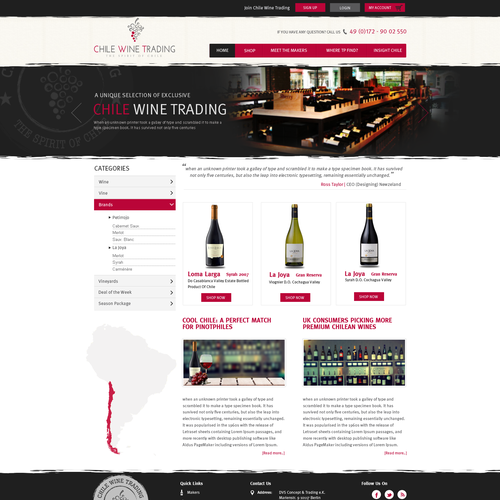 Web page design contest entry by Obizzy