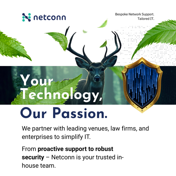 flyer for netconn