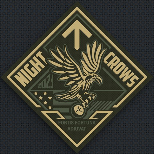 NIGHT CROWS - Military Special Operations Unit Logo design contest - GER/US Design by Sasha Løft