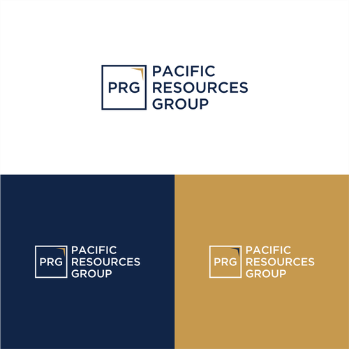 PRG Logo and Brand Guide Design by M@likha