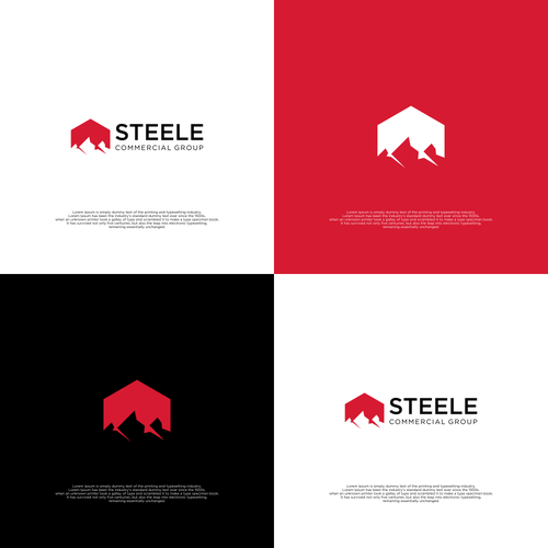 Steele Commercial Group Design réalisé par Dokoko