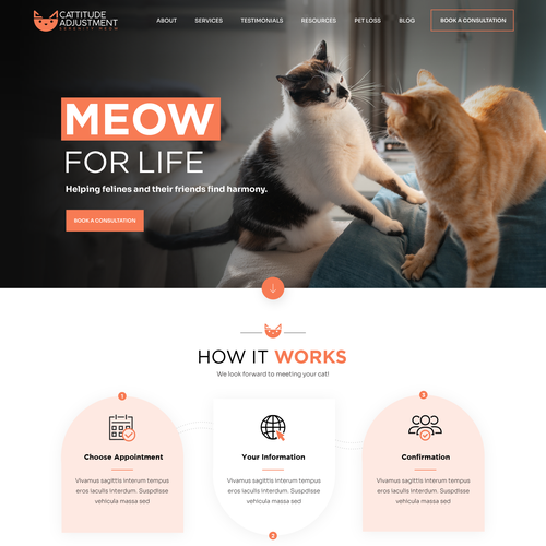 Create a website refresh for a cat behavior consultant! Design by Pinku