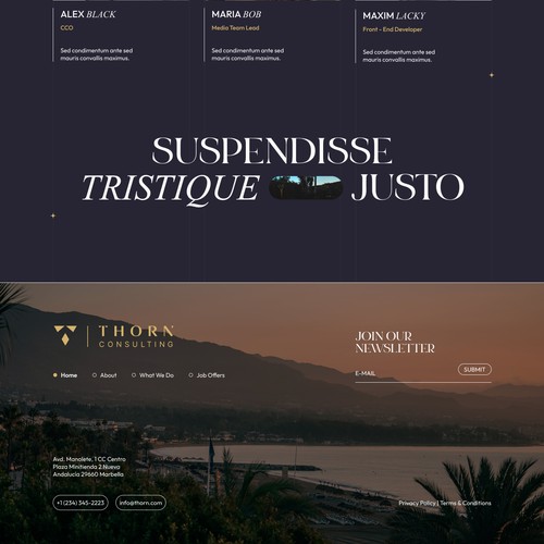 Design for consultant company in Marbella Design by sokolskiyDesign