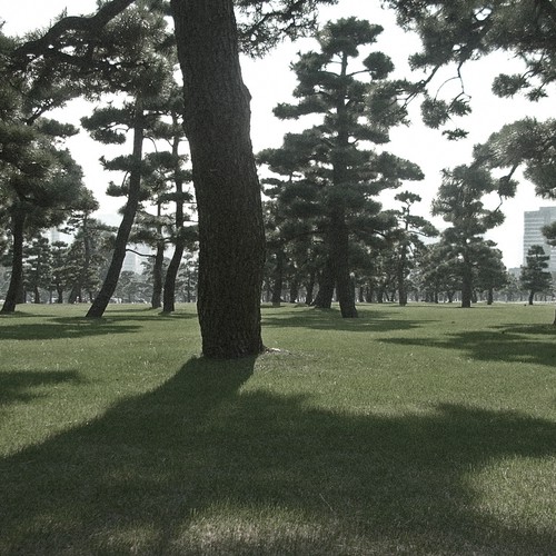 コンペ「Design Rick Warren's New Book Cover」のデザイン by Blakbeansさん 