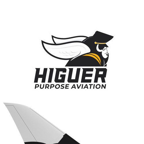 Higher Purpose Aviation Design by mateuzord