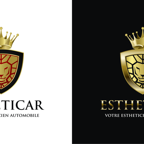 Créér un logo qui représente l'esthétique de la voiture. Design by Kaleya