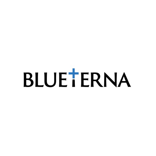 Blueterna Branding contest Design by Imam H.
